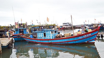 Phú Yên Nghiệp đoàn nghề cá giúp ngư dân giảm thiểu rủi ro khi hành nghề trên biển